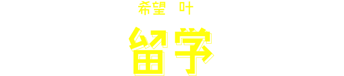 希望が叶うオリジナル留学プログラム