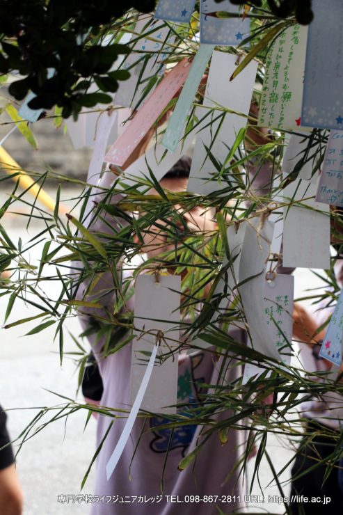 七夕 2023！ 沖縄 専門学校ライフジュニアカレッジ | TANABATA 2023! The Star Festival! Okinawa vocational school LIFE Jr College | PHOTO 