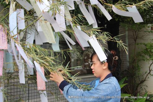 七夕 2023！ 沖縄 専門学校ライフジュニアカレッジ | TANABATA 2023! The Star Festival! Okinawa vocational school LIFE Jr College | PHOTO 0